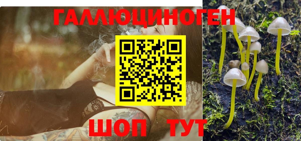 Балашиха  даркнет сайт  Вход с VPN  Псилоцибиновые грибы Psilocybe 