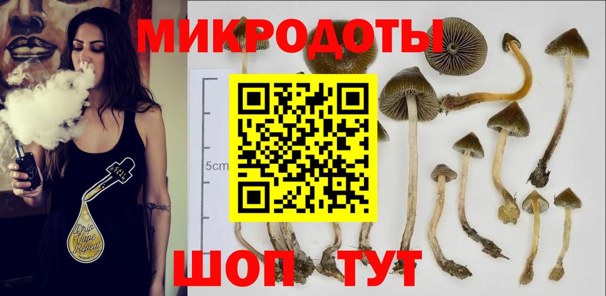 Галлюциногенные грибы Magic Shrooms Балашиха